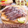 台灣野生鮮凍小卷