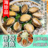 急凍鮮鮑魚/20粒