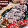急速冷凍可愛小章魚/200克