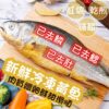 深海巨型大黃魚/去鱗鰓肚