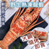野生冷凍熟龍蝦/約半公斤